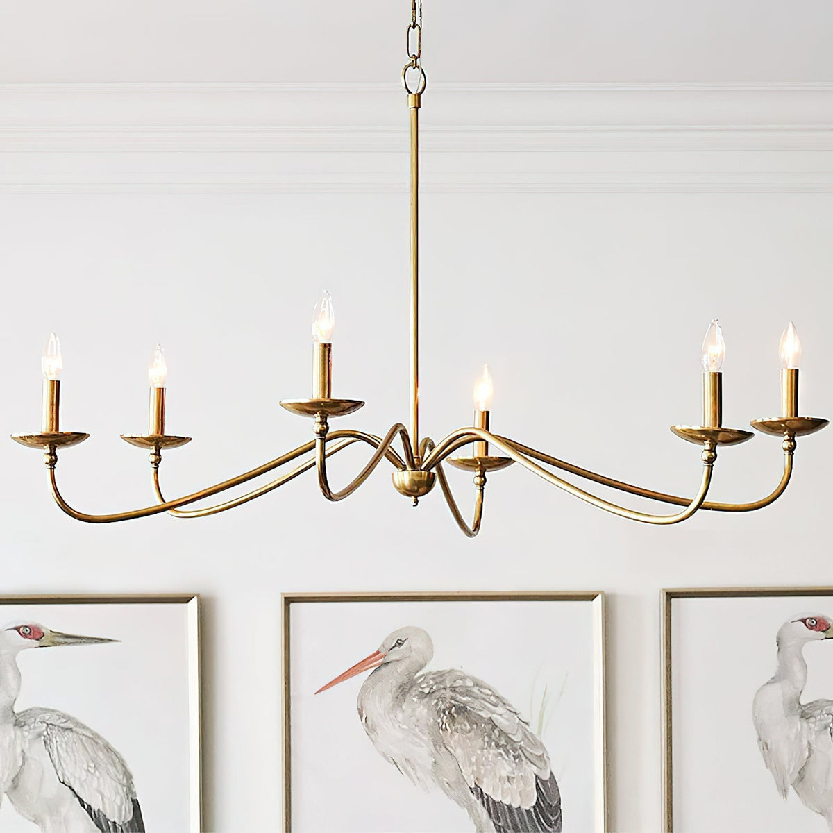 Liolaura candelabru