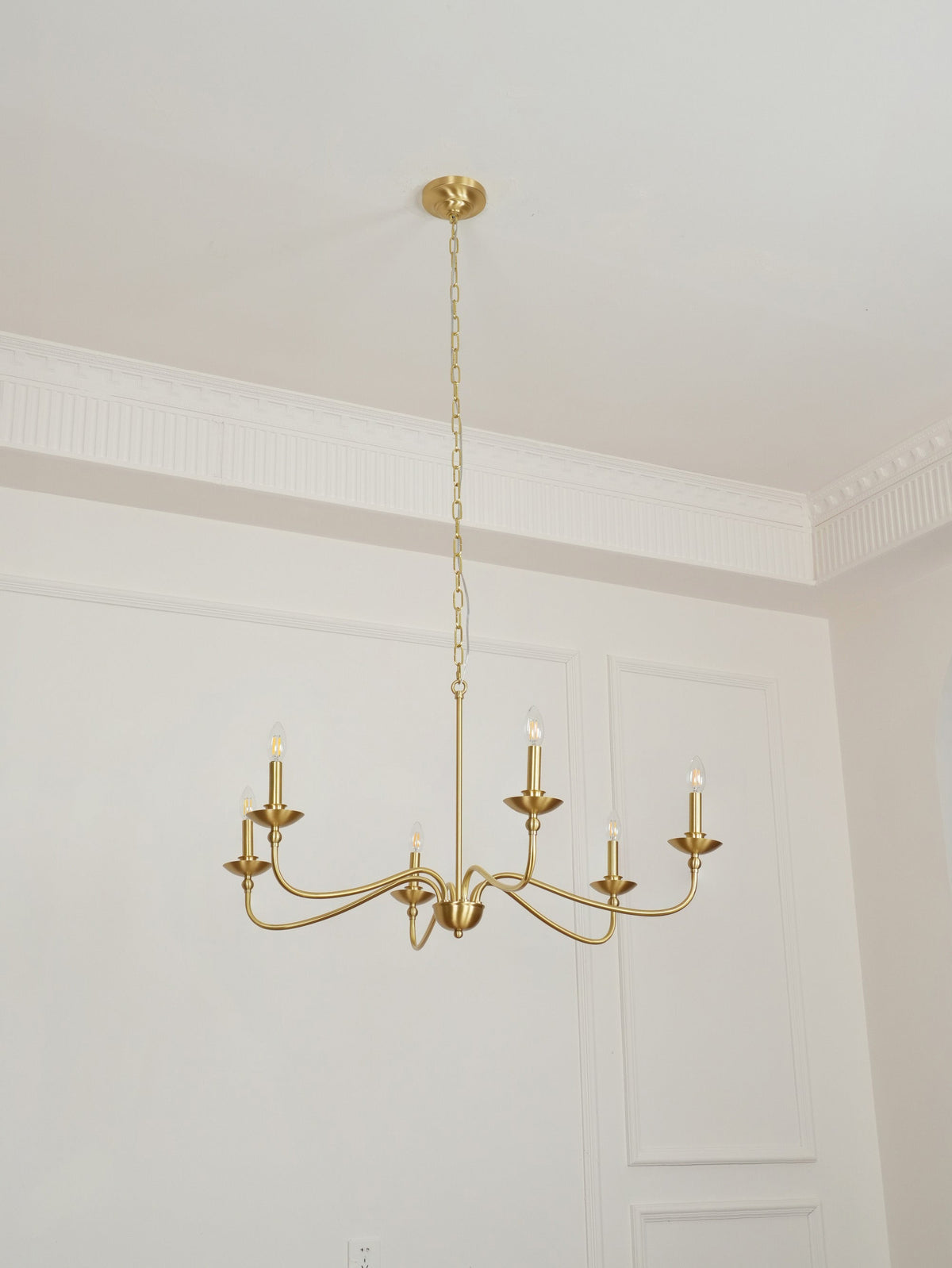 Liolaura candelabru