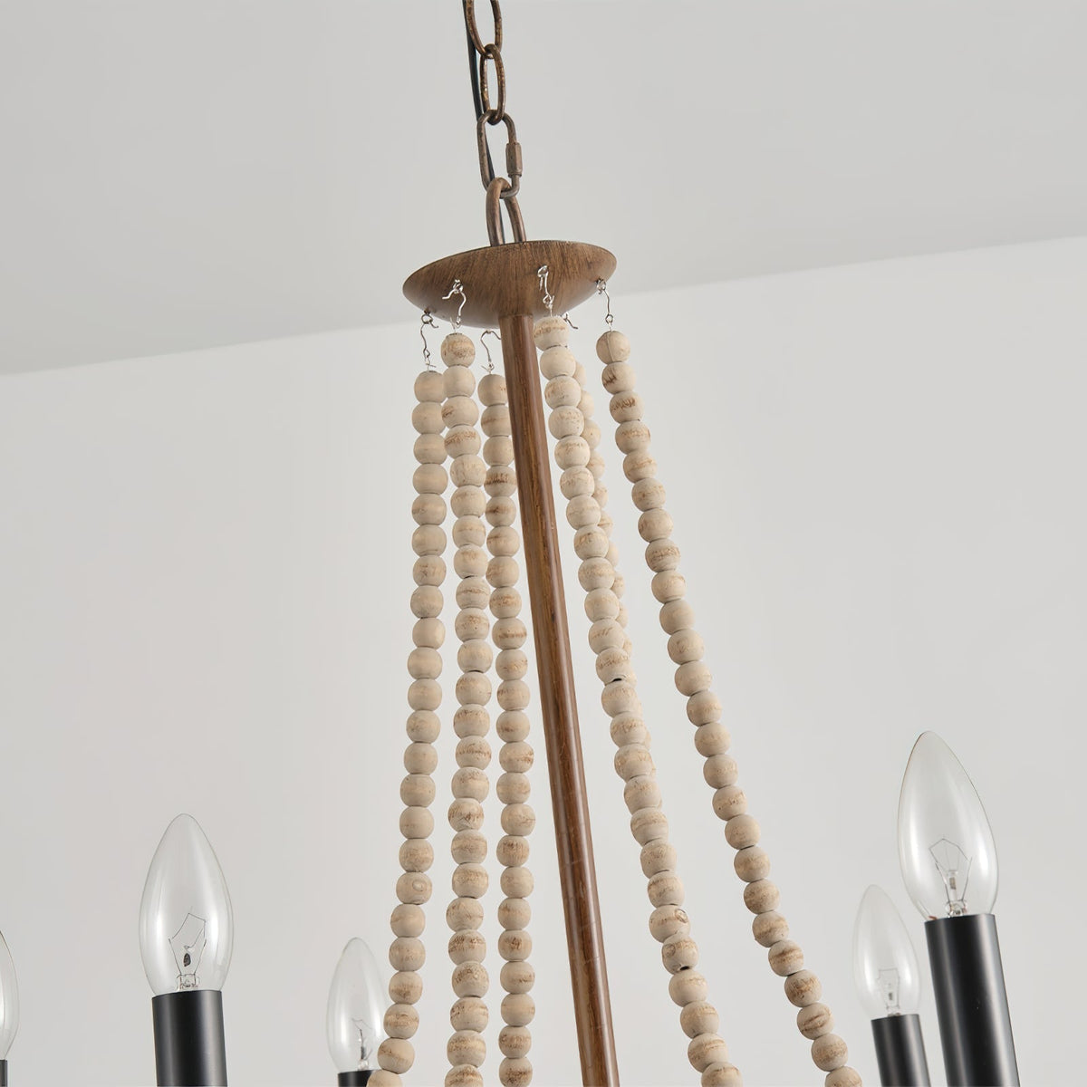 Selaena candelabru