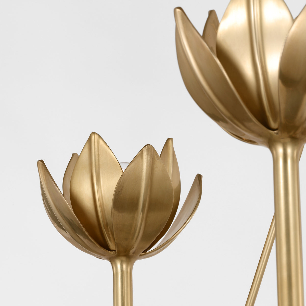 Alberto candelabru din alamă, modern, minimalist, floral