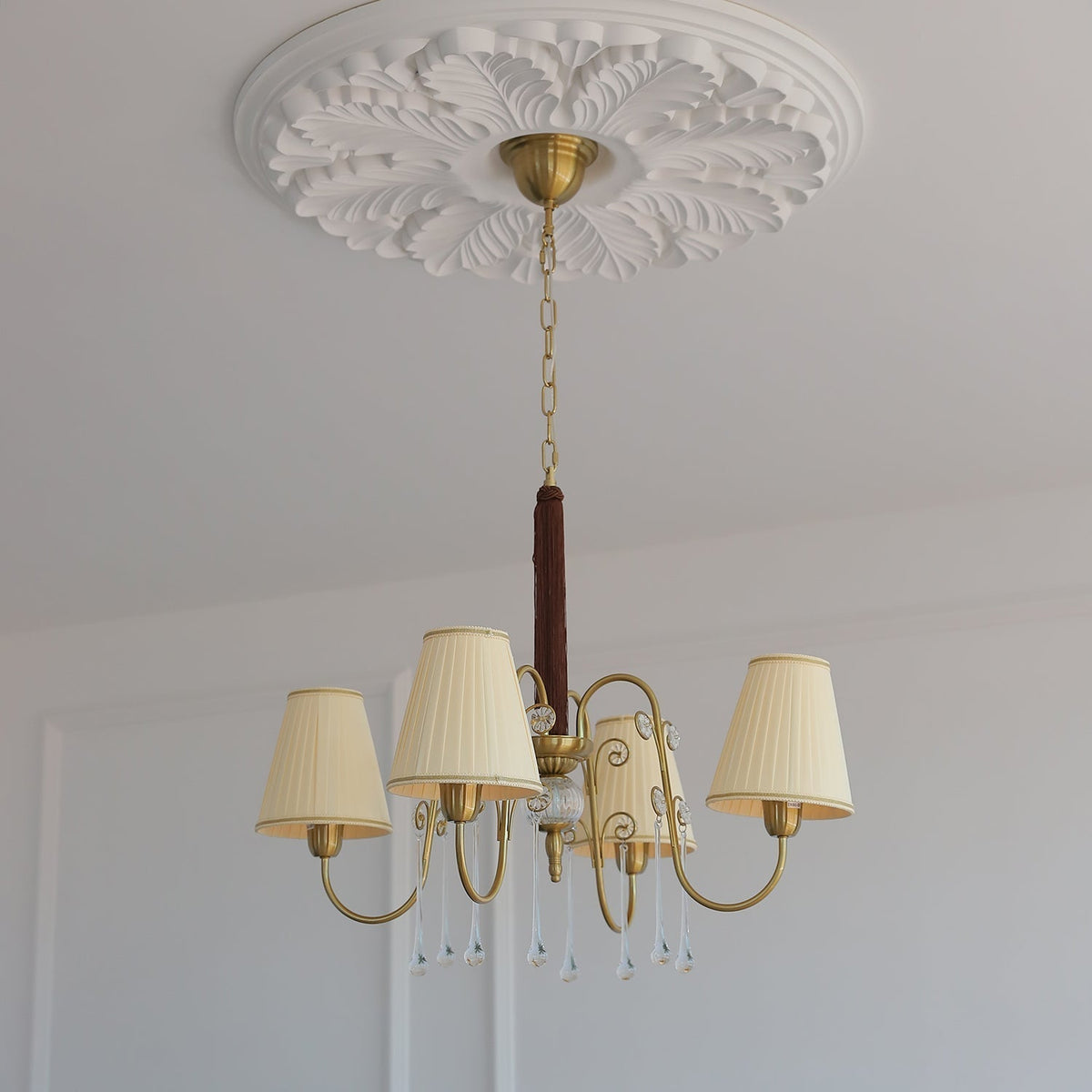 Mondia candelabru