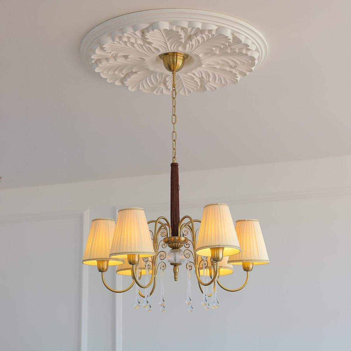 Mondia candelabru