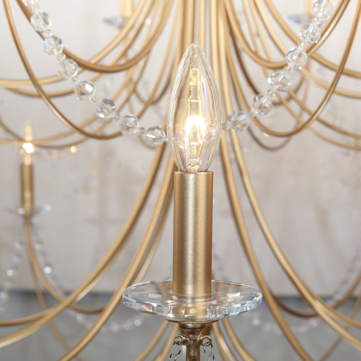 Lioreira candelabru