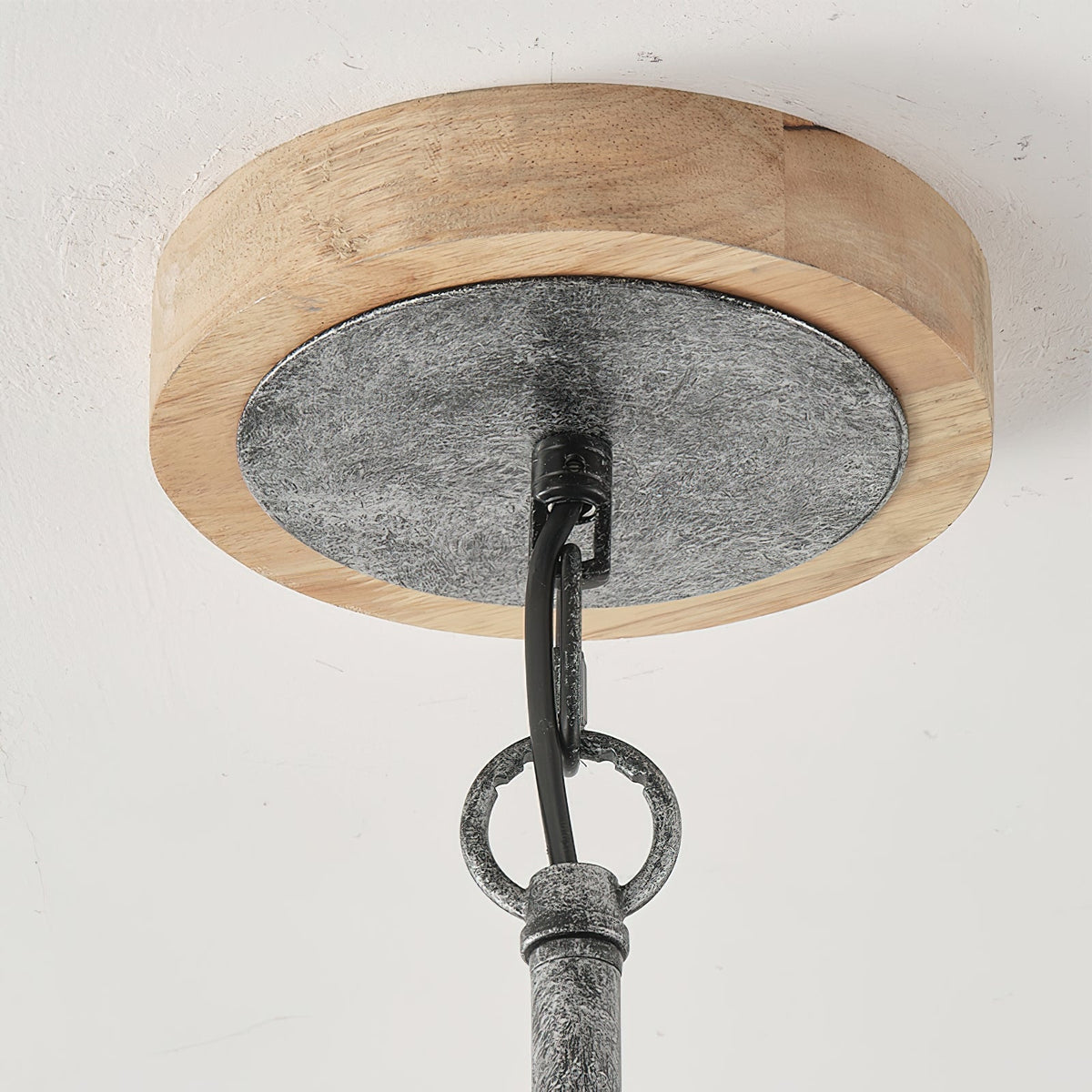 Rivivaria candelabru
