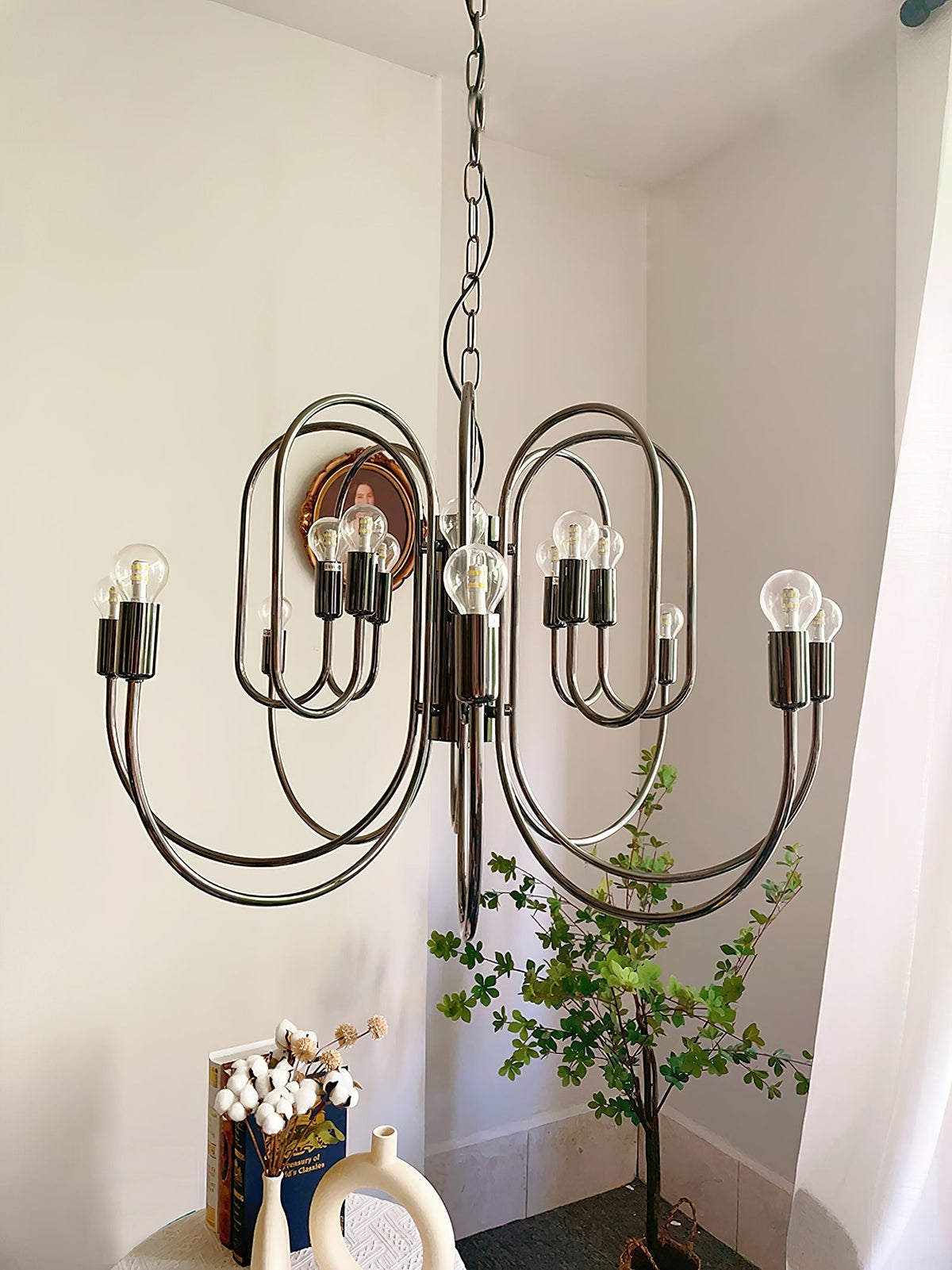 Orelelella candelabru