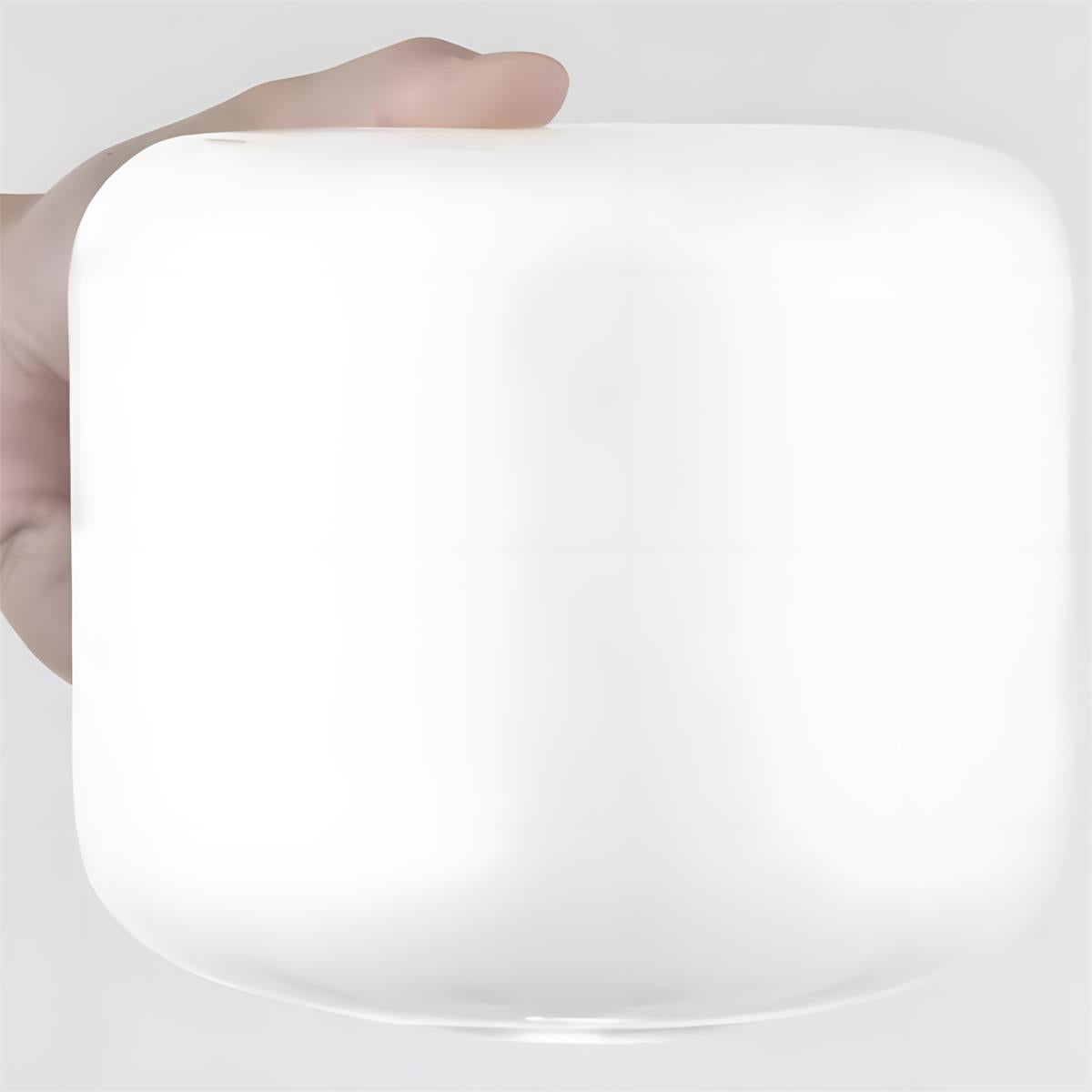 Rivenelia lampă de masă