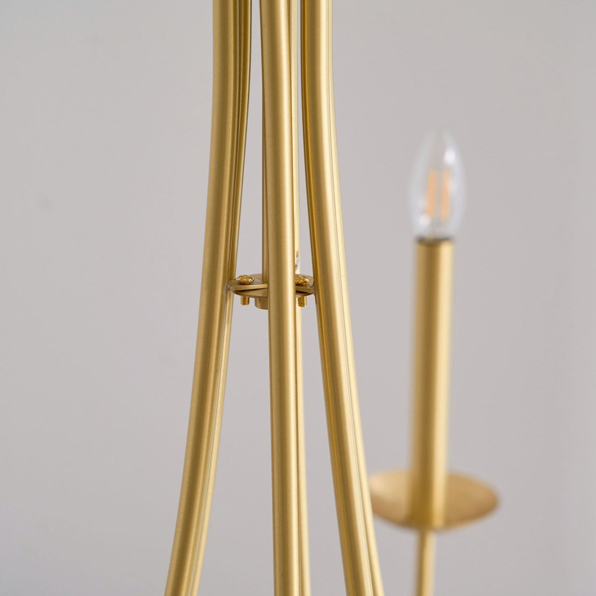 Selariel candelabru