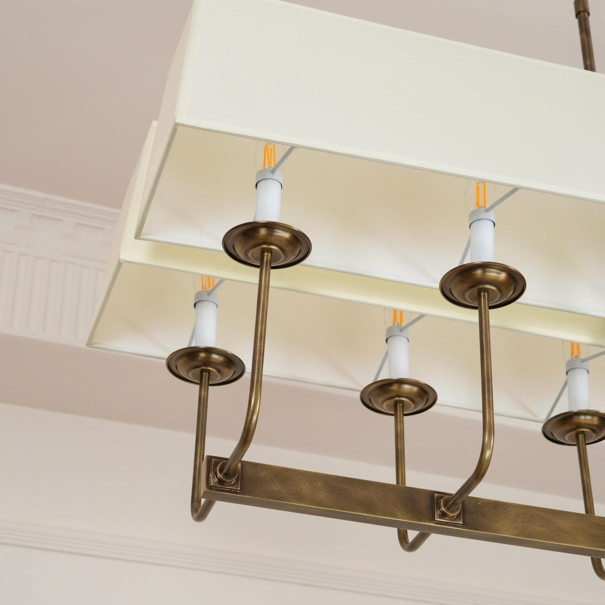 Avenerira candelabru liniar