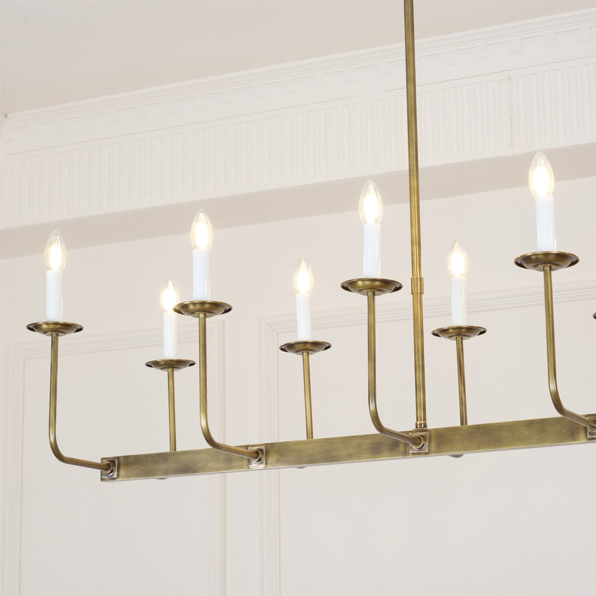 Avenerira candelabru liniar