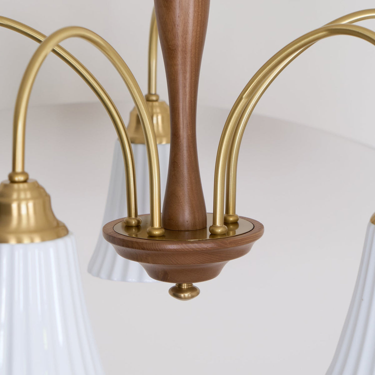 Conia candelabru
