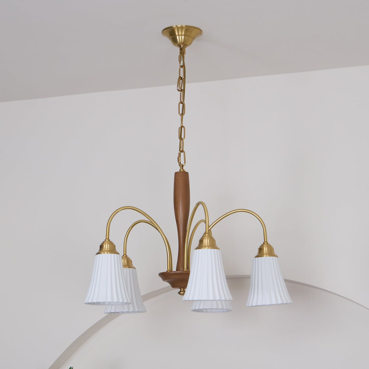 Conia candelabru