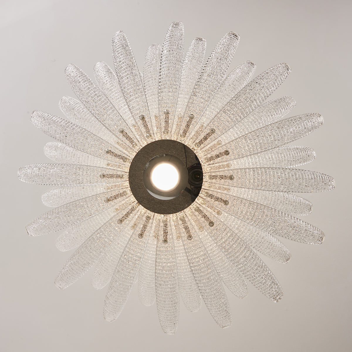 Chrysant candelabru