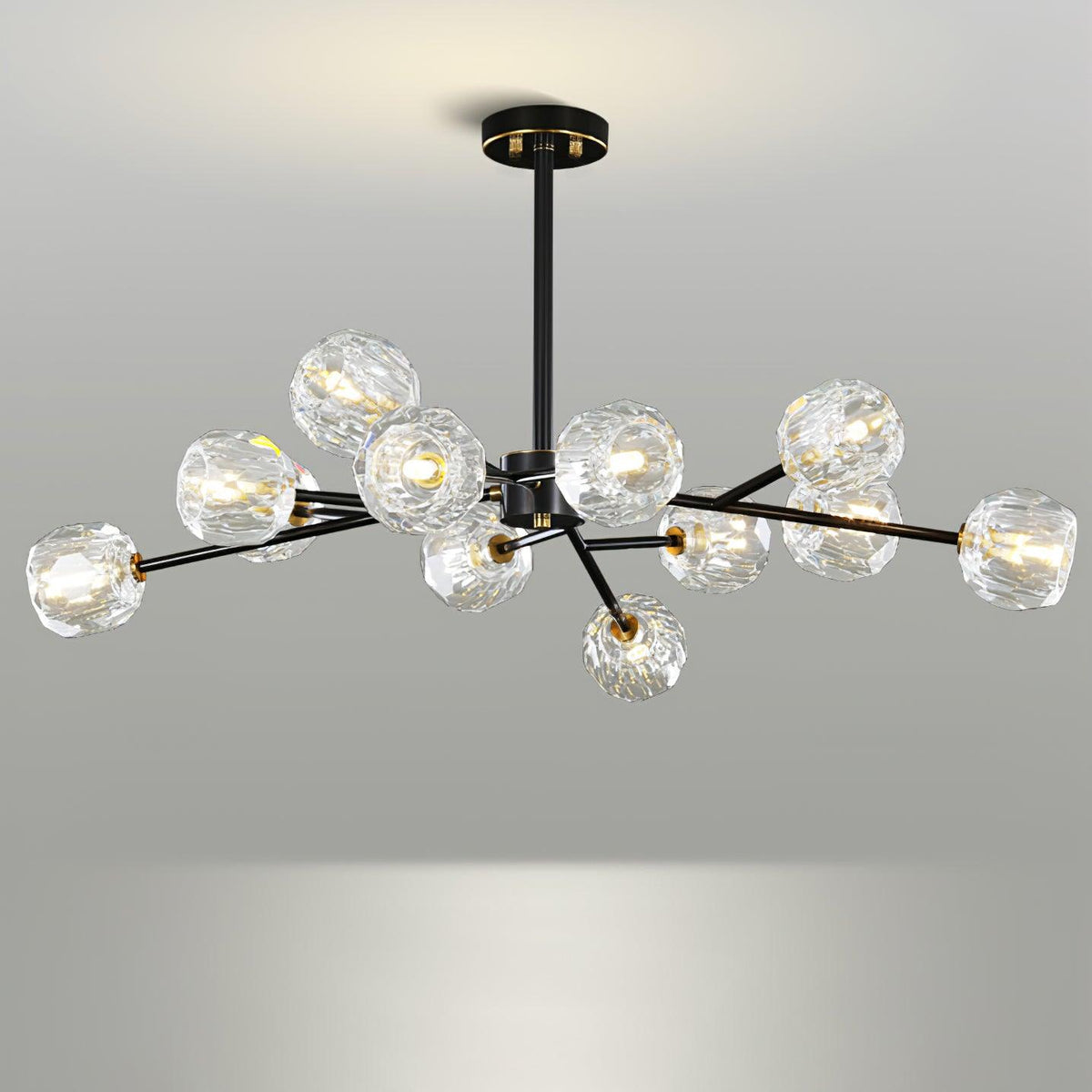 Reniella candelabru