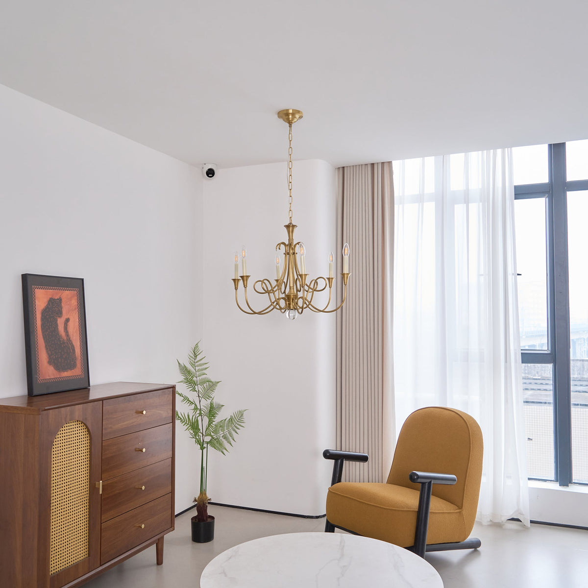 Orelelira candelabru