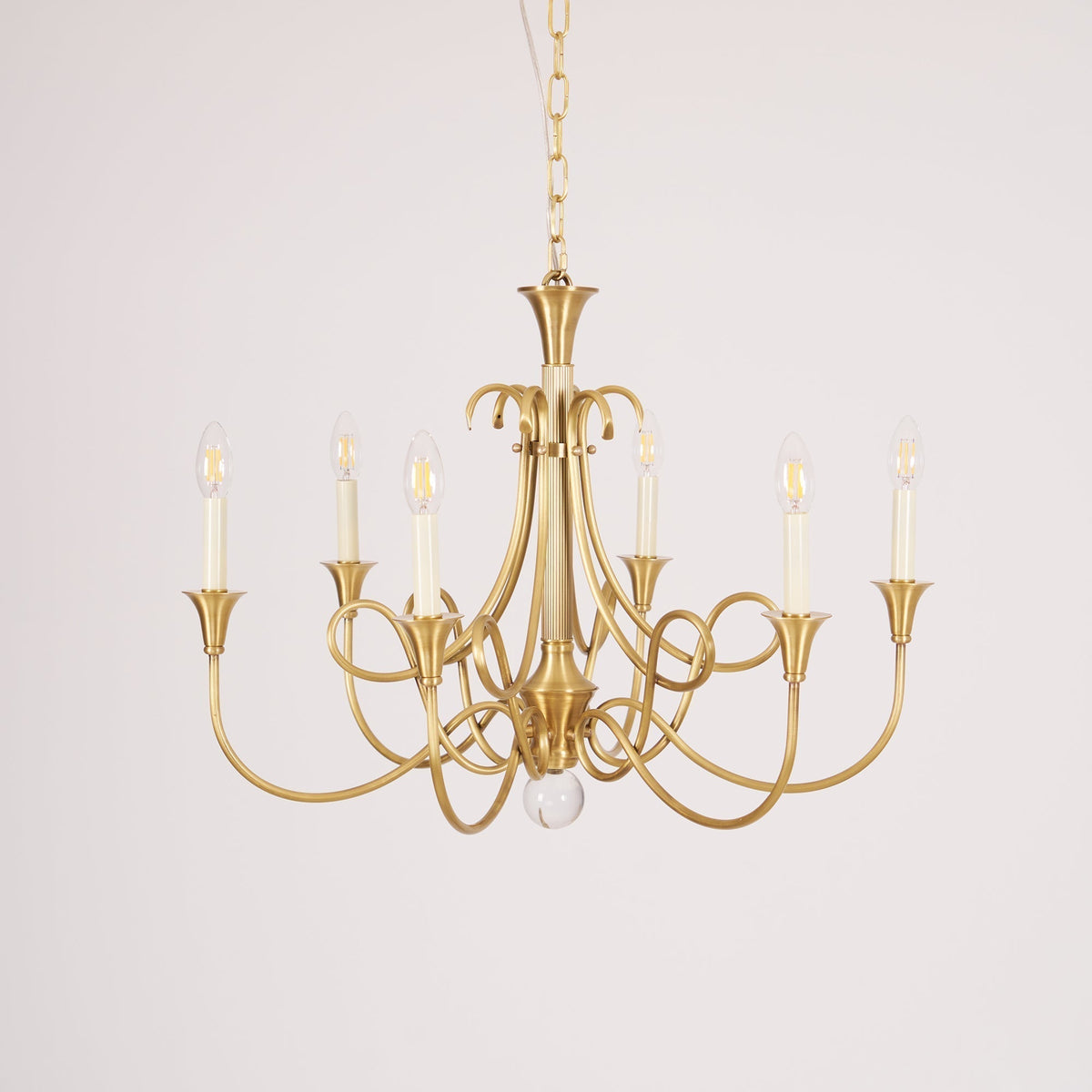 Orelelira candelabru