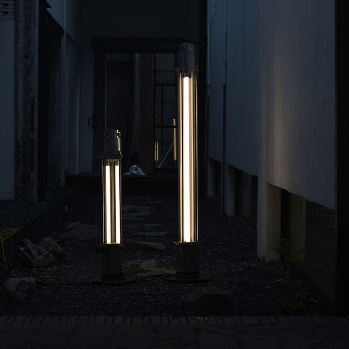 Cylus lampadar