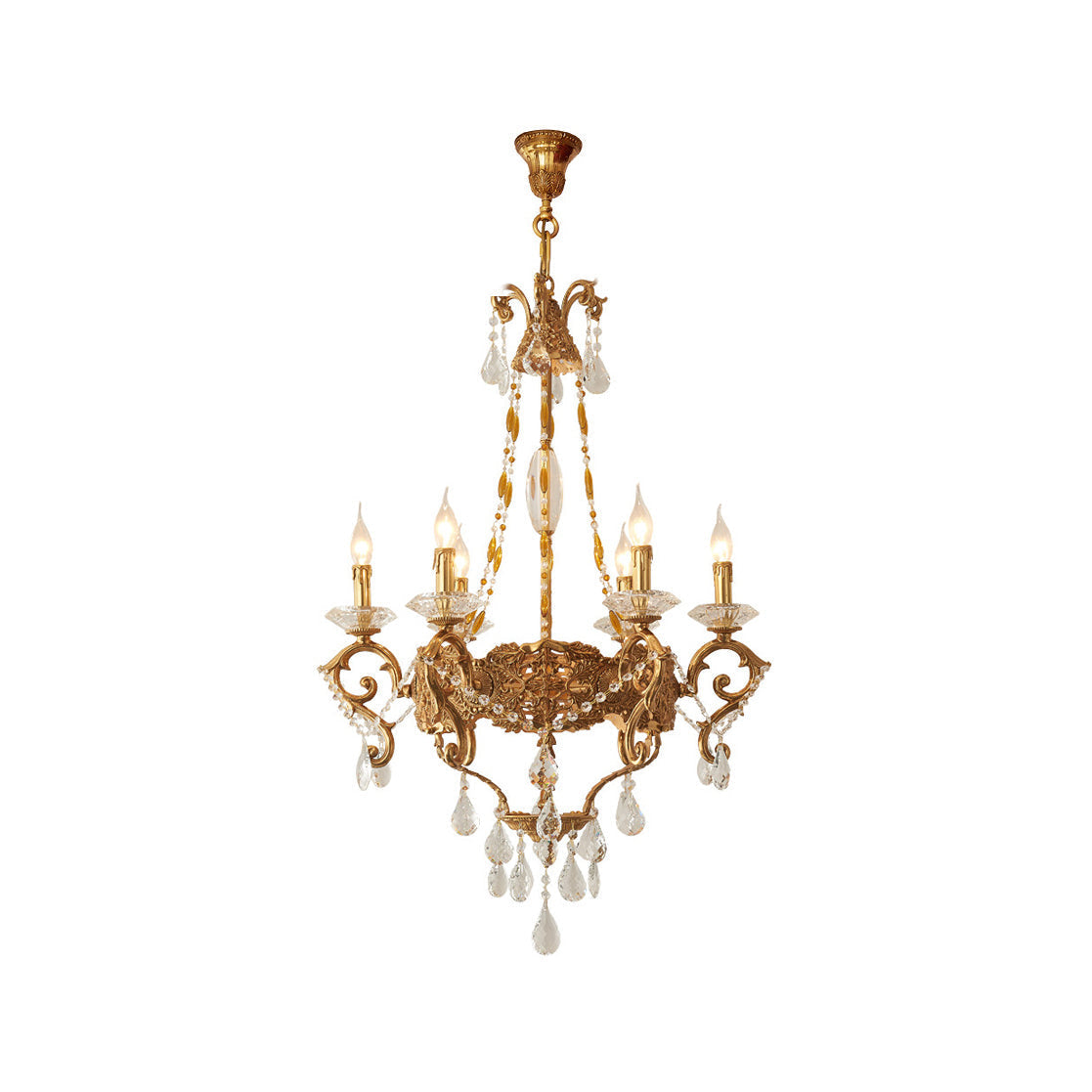 Cassia candelabru