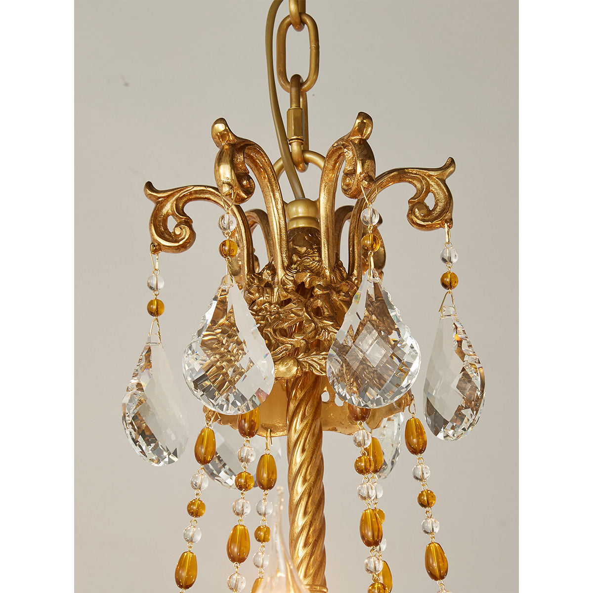 Cassia candelabru