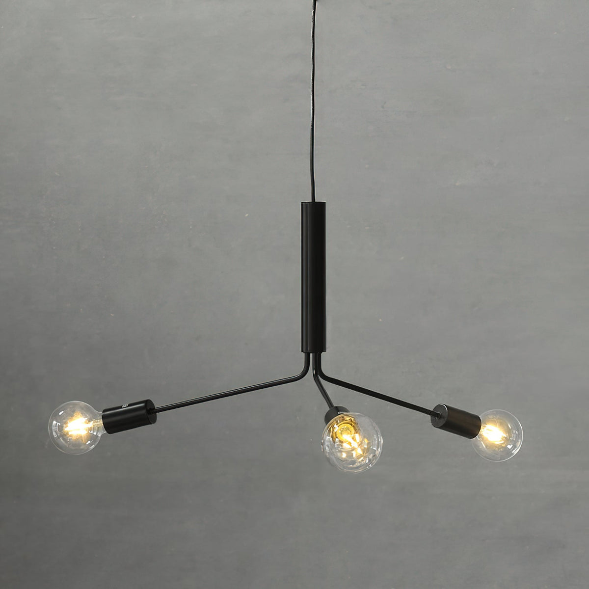 Nororaria candelabru