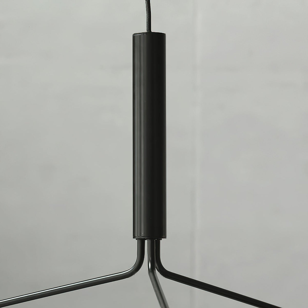 Nororaria candelabru
