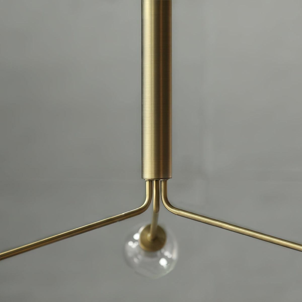 Nororaria candelabru
