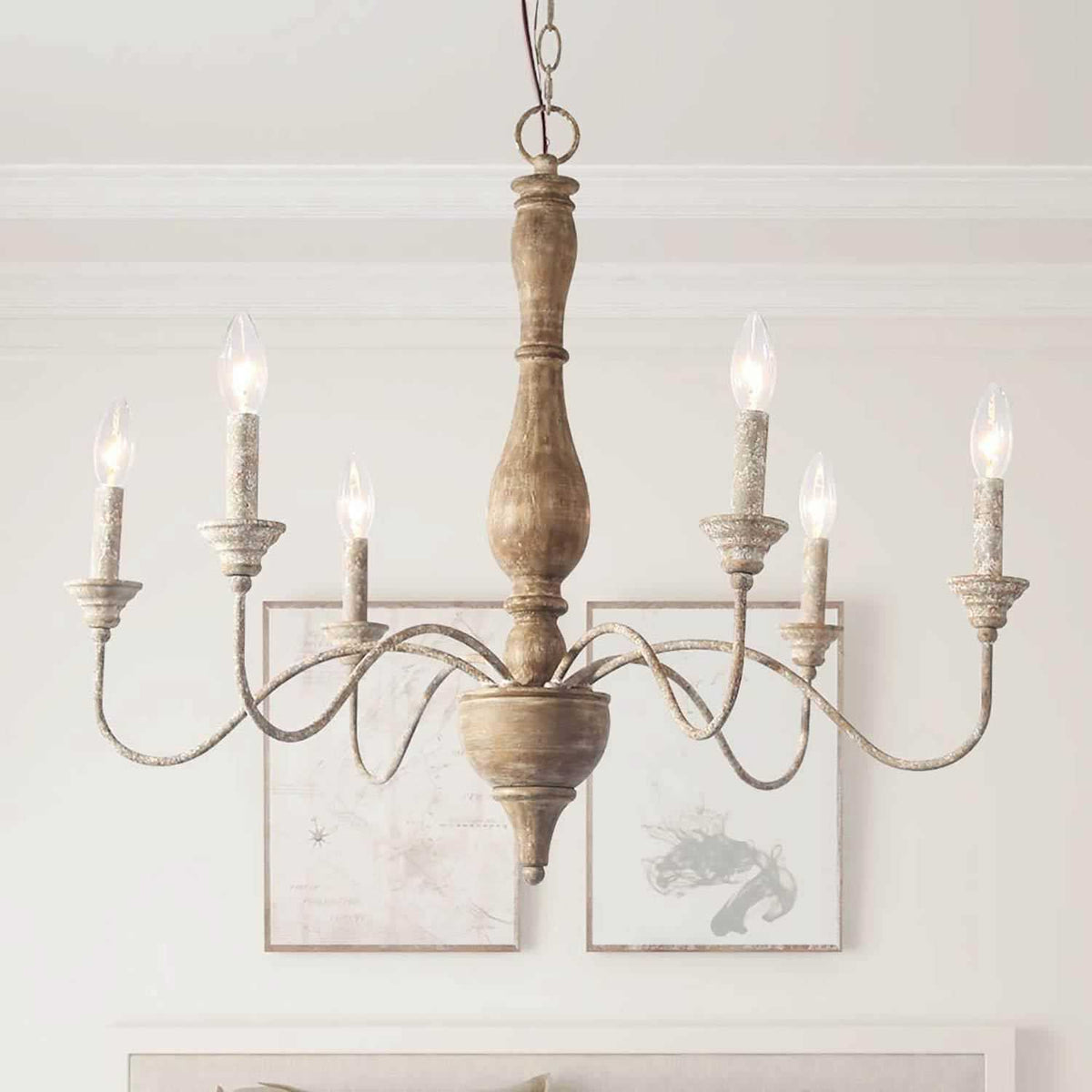 Eurloryra candelabru