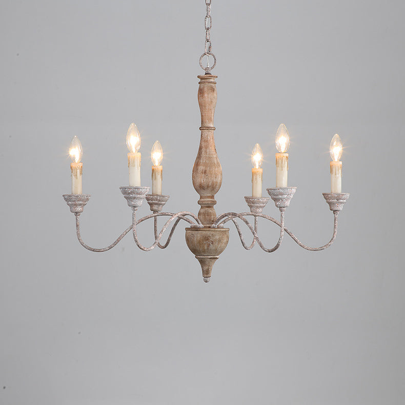 Eurloryra candelabru