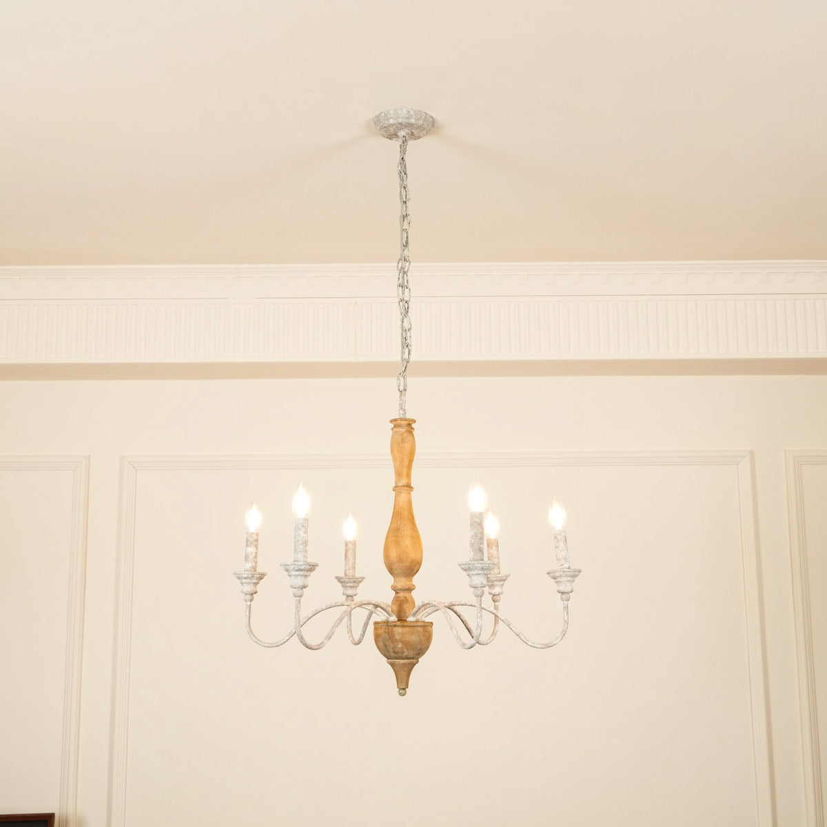 Eurloryra candelabru