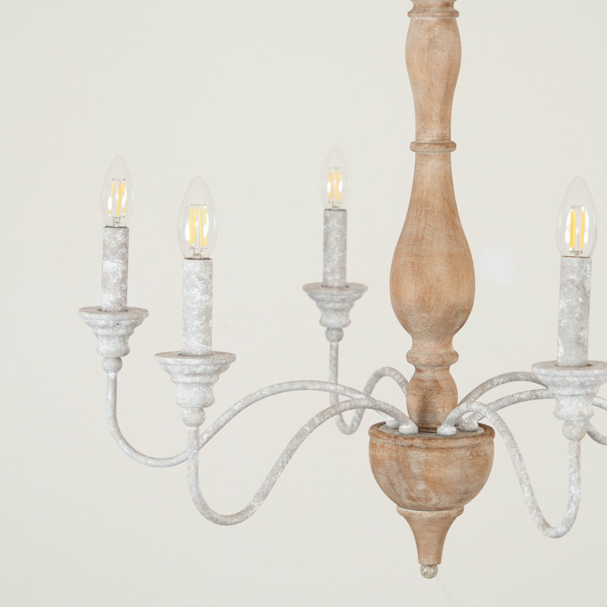 Eurloryra candelabru