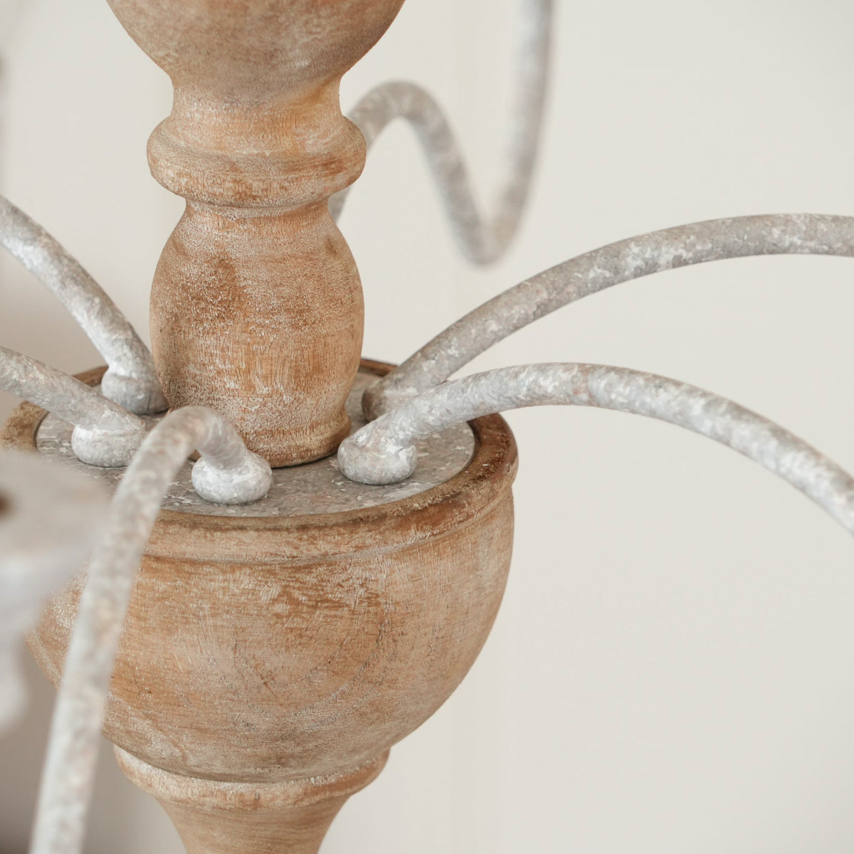 Eurloryra candelabru