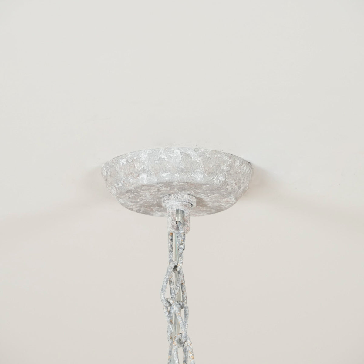 Eurloryra candelabru