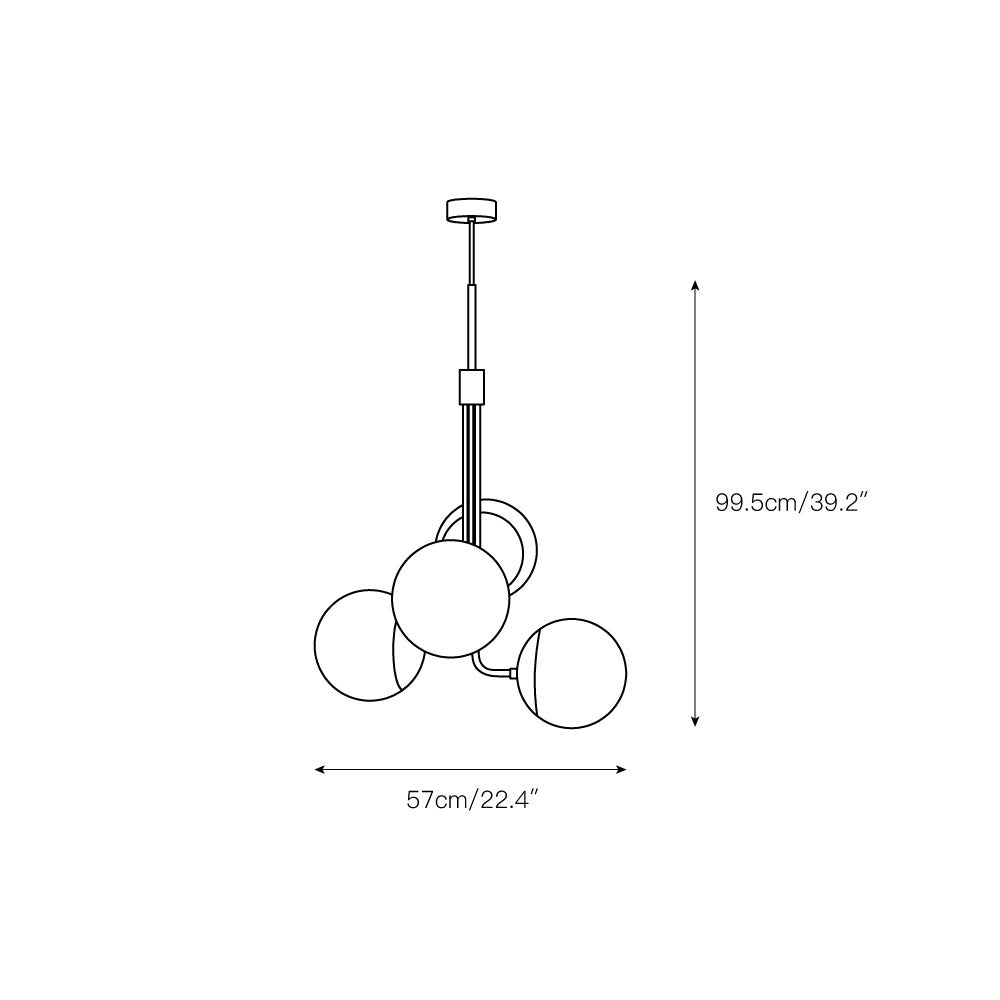 Noroira candelabru