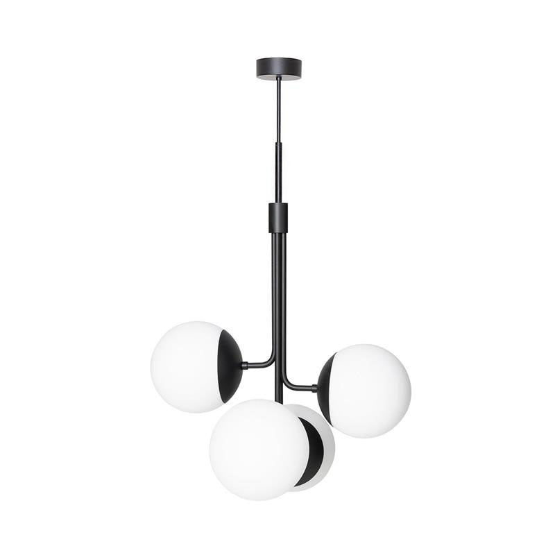 Noroira candelabru