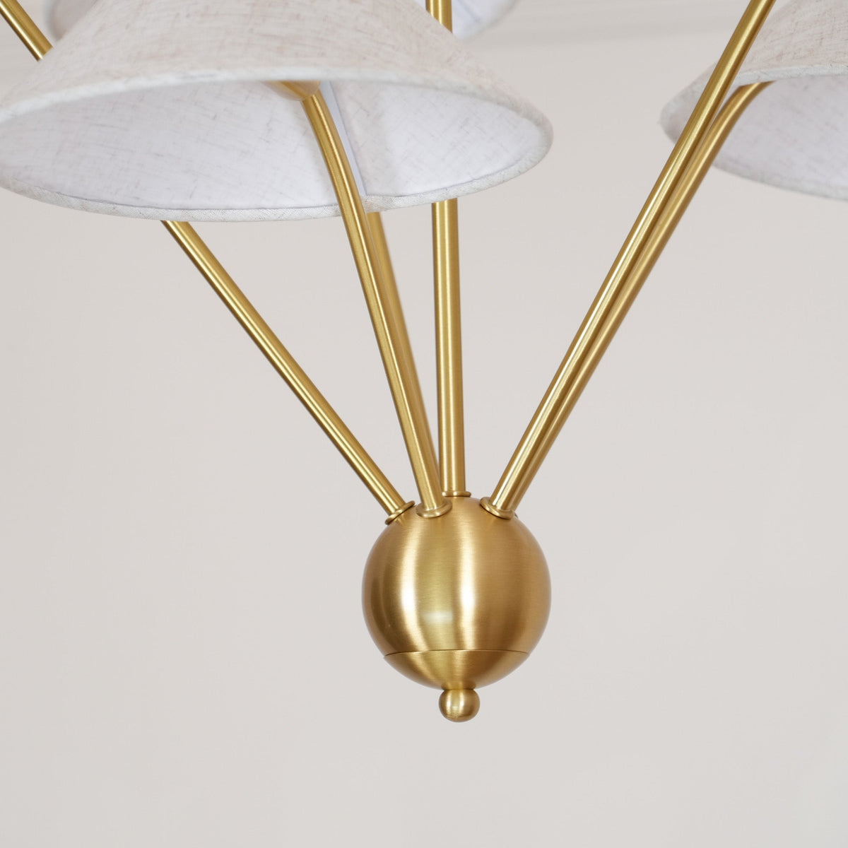Elaorissa candelabru