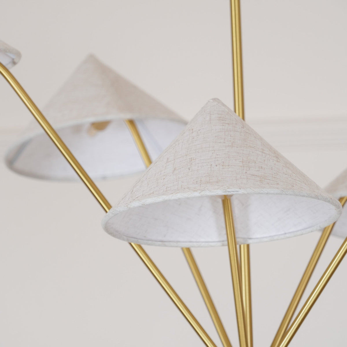 Elaorissa candelabru
