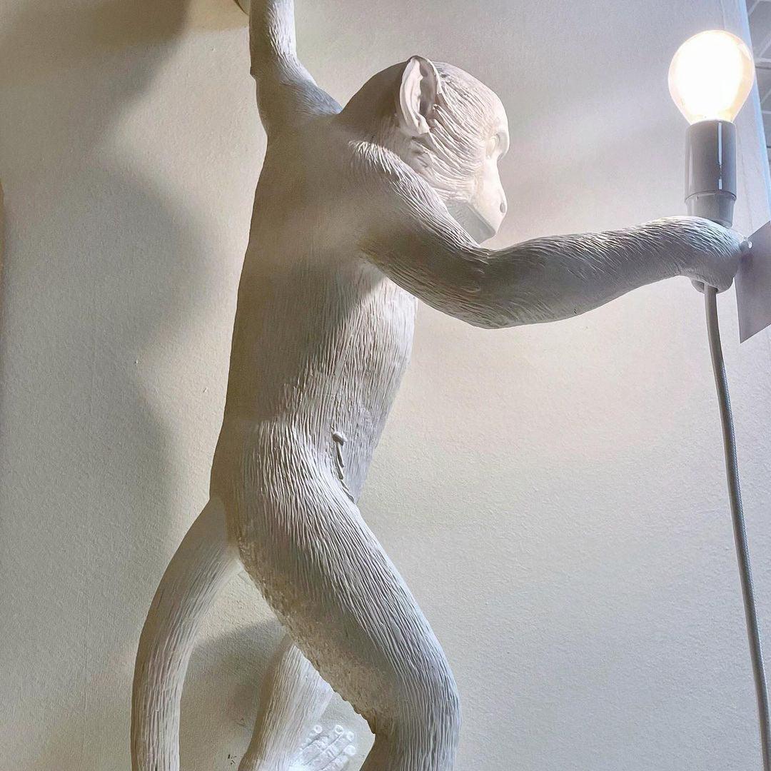 Bnx Art unic Monkey Rășină aplică de Perete