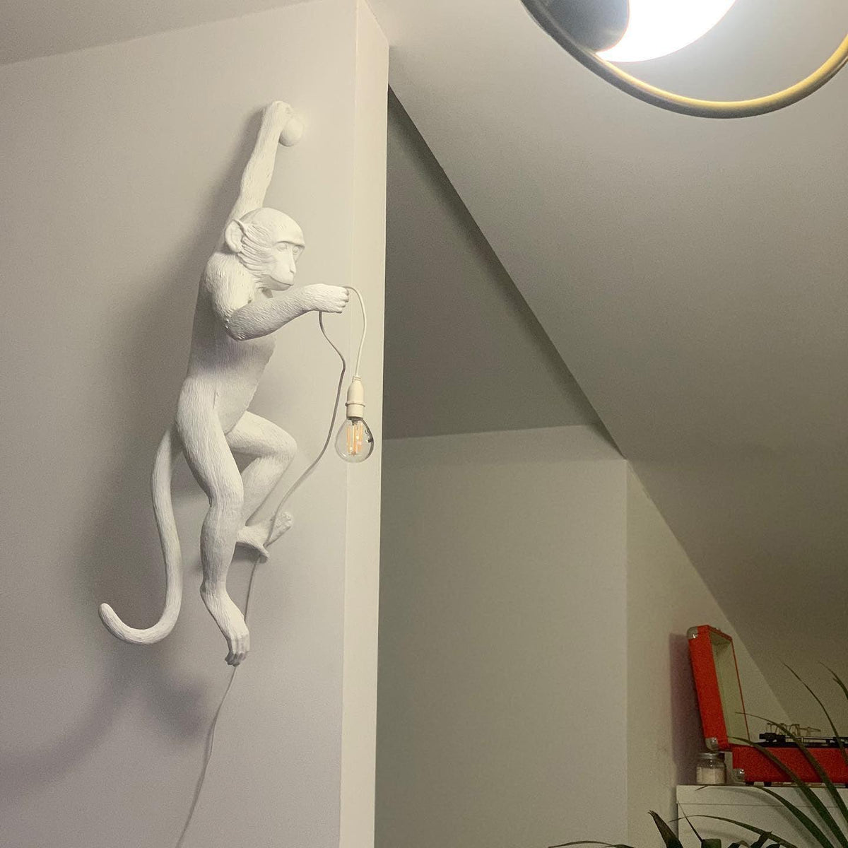 Bnx Art unic Monkey Rășină aplică de Perete