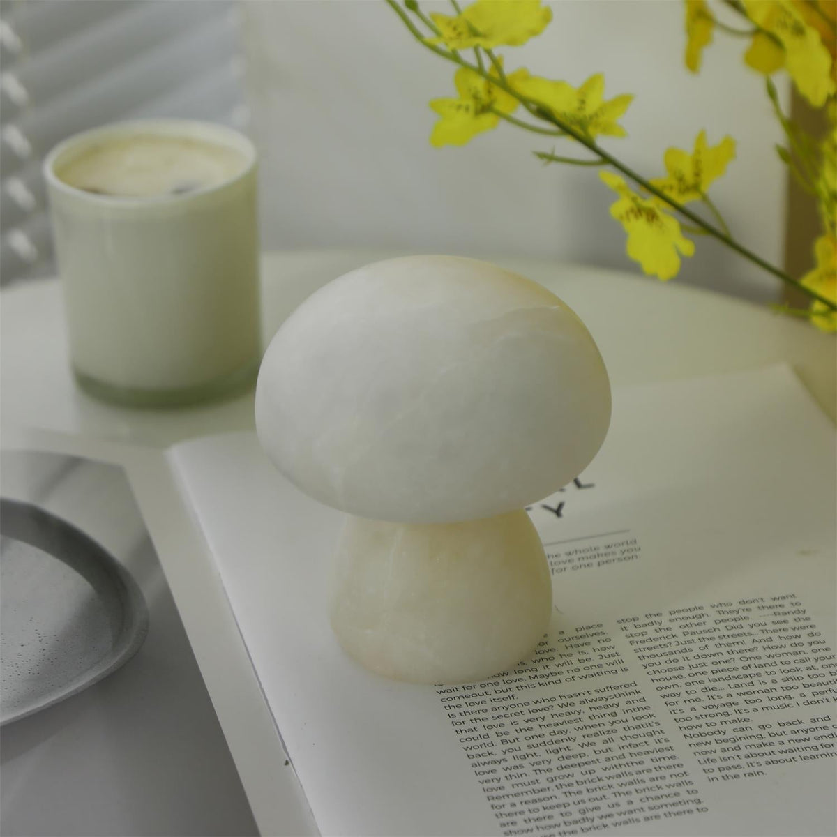 Fungi lampă de masă (baterie încorporată)