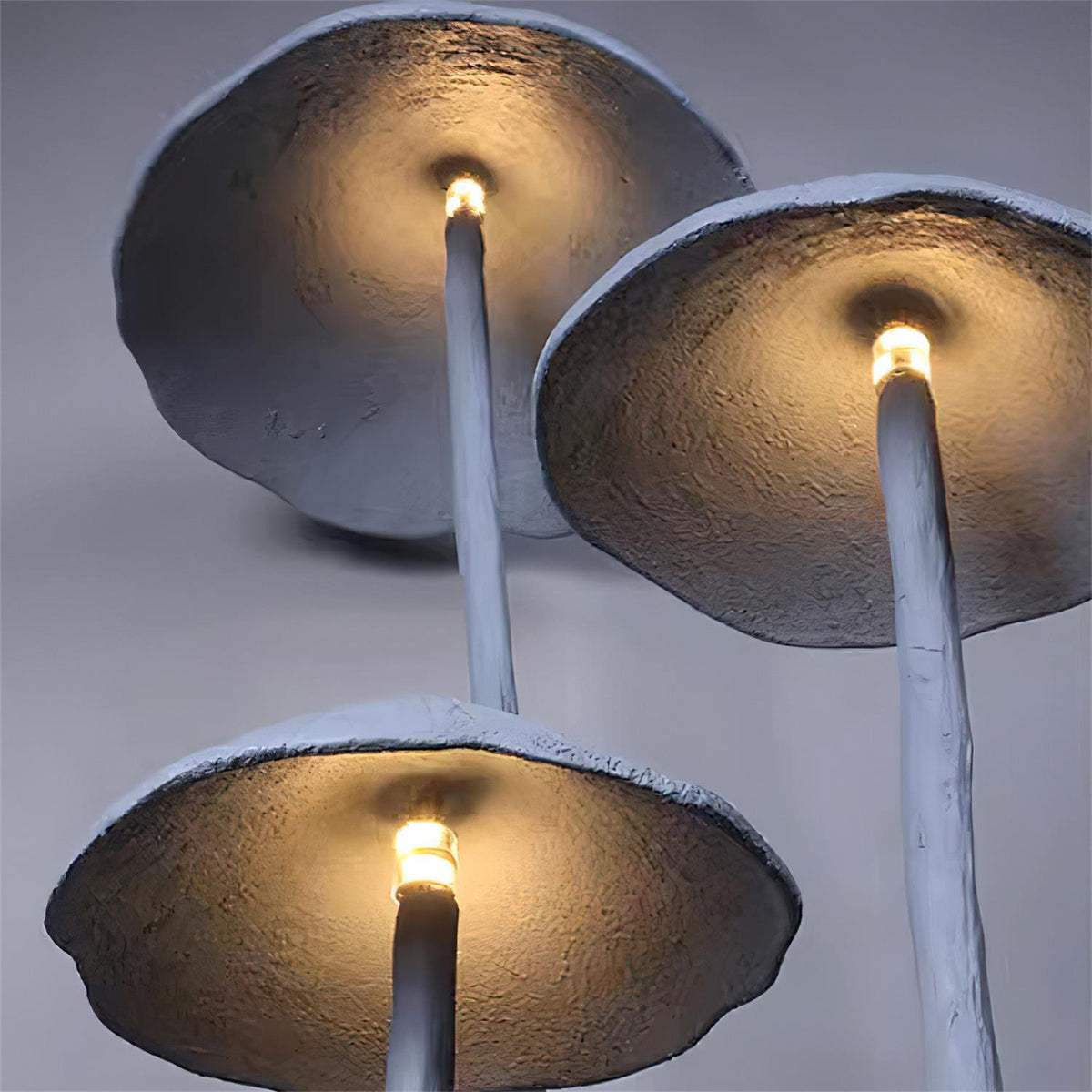 Renuaya lampadar