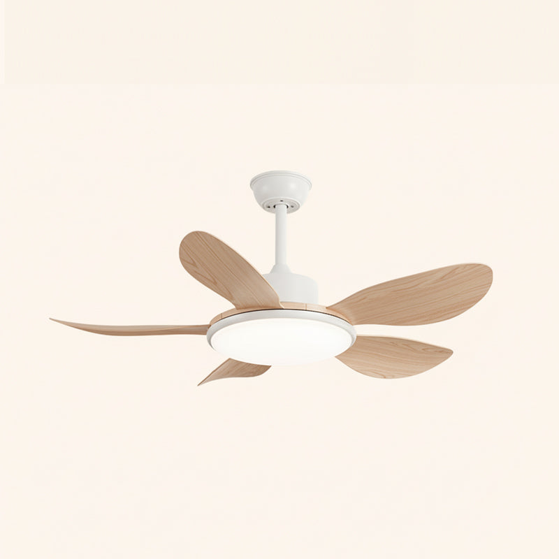 Rivivaine ventilator de tavan cu lumină