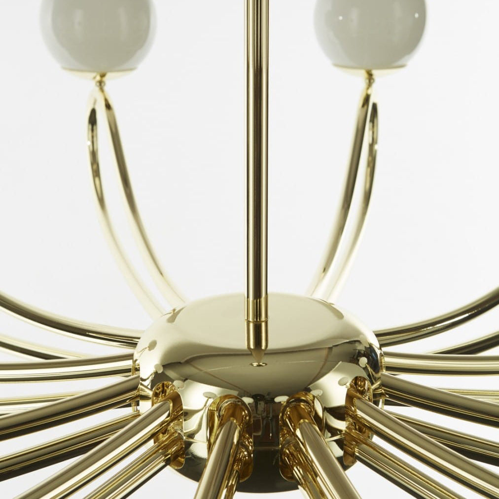 Calanena candelabru