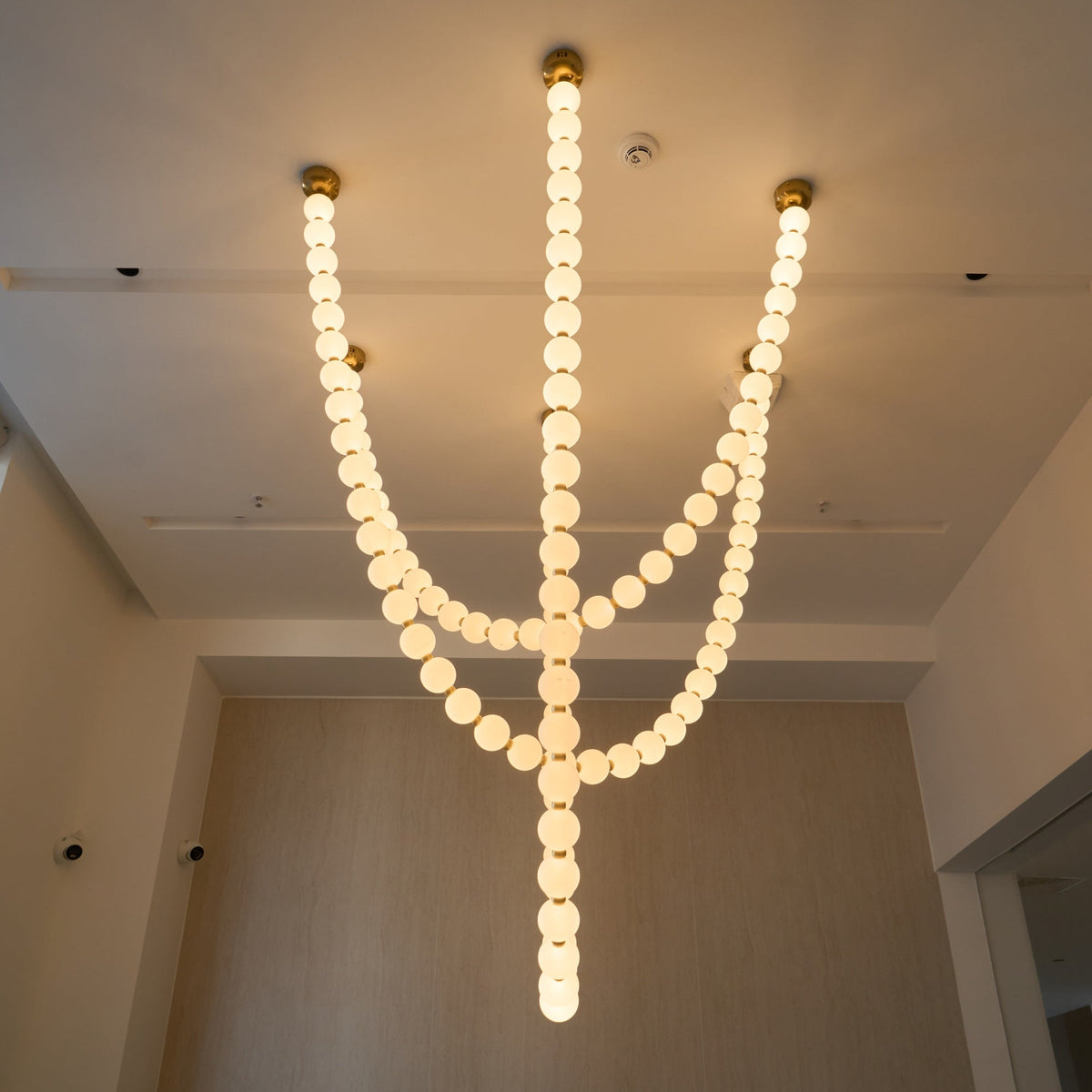 Liorenena candelabru