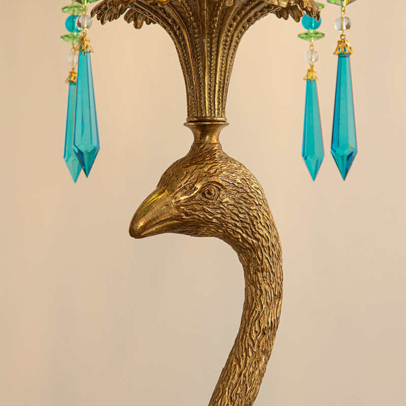 Pavona lampadar