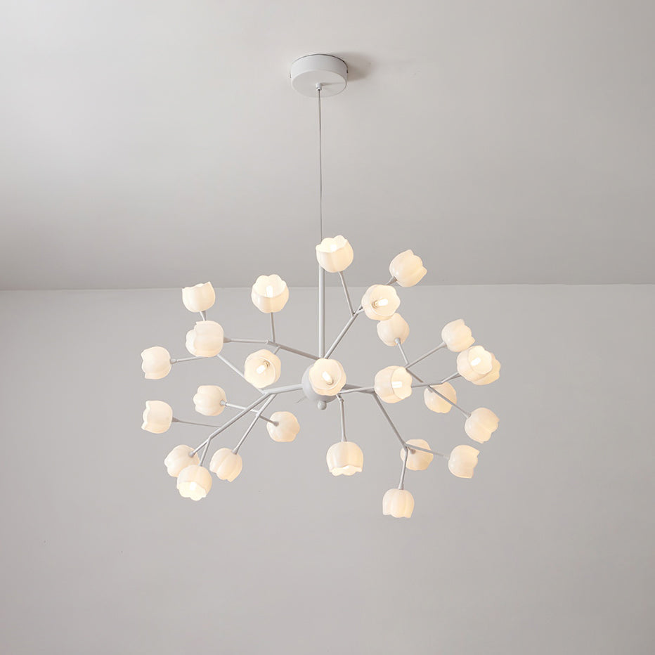 Calanira candelabru, cu flori