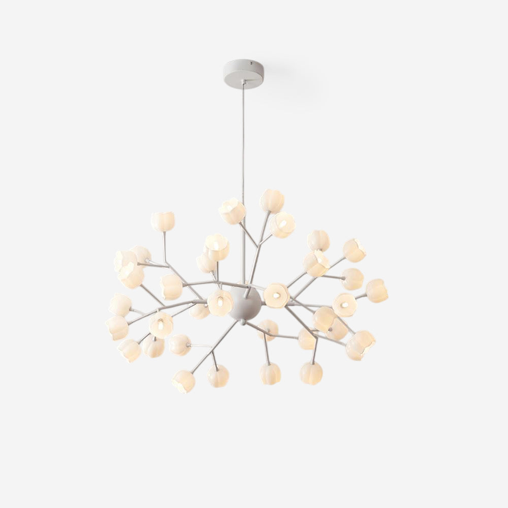 Calanira candelabru, cu flori