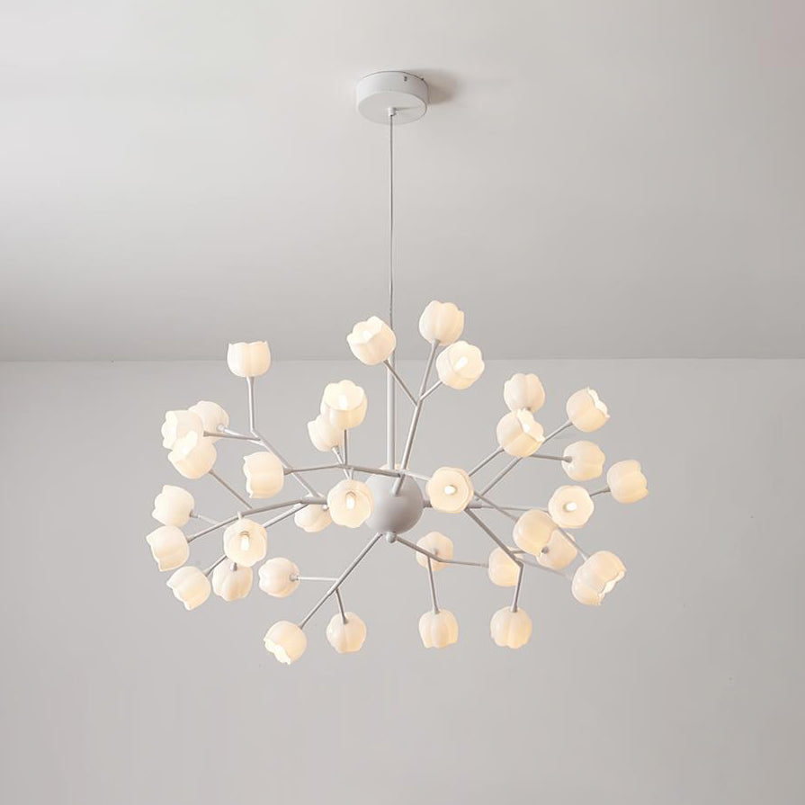 Calanira candelabru, cu flori