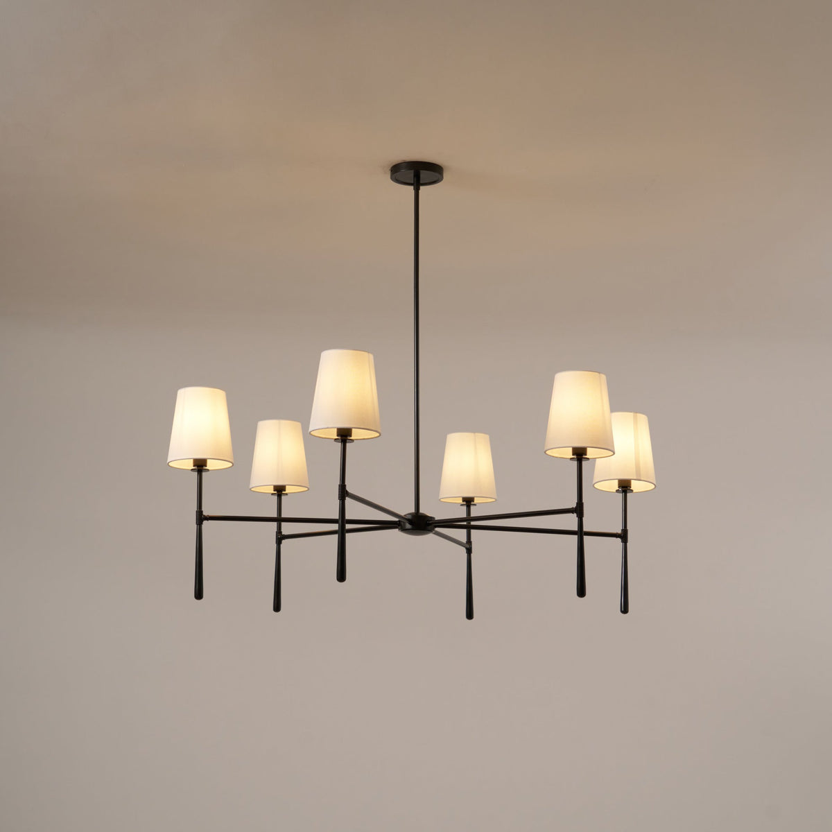 Aroa candelabru, rotund