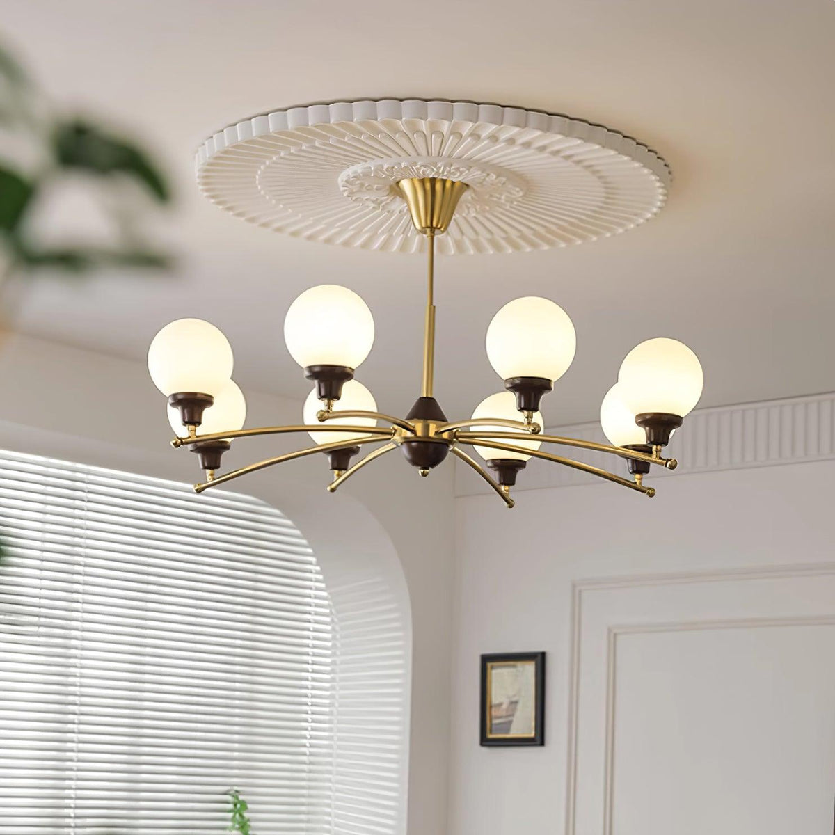 Calivora candelabru
