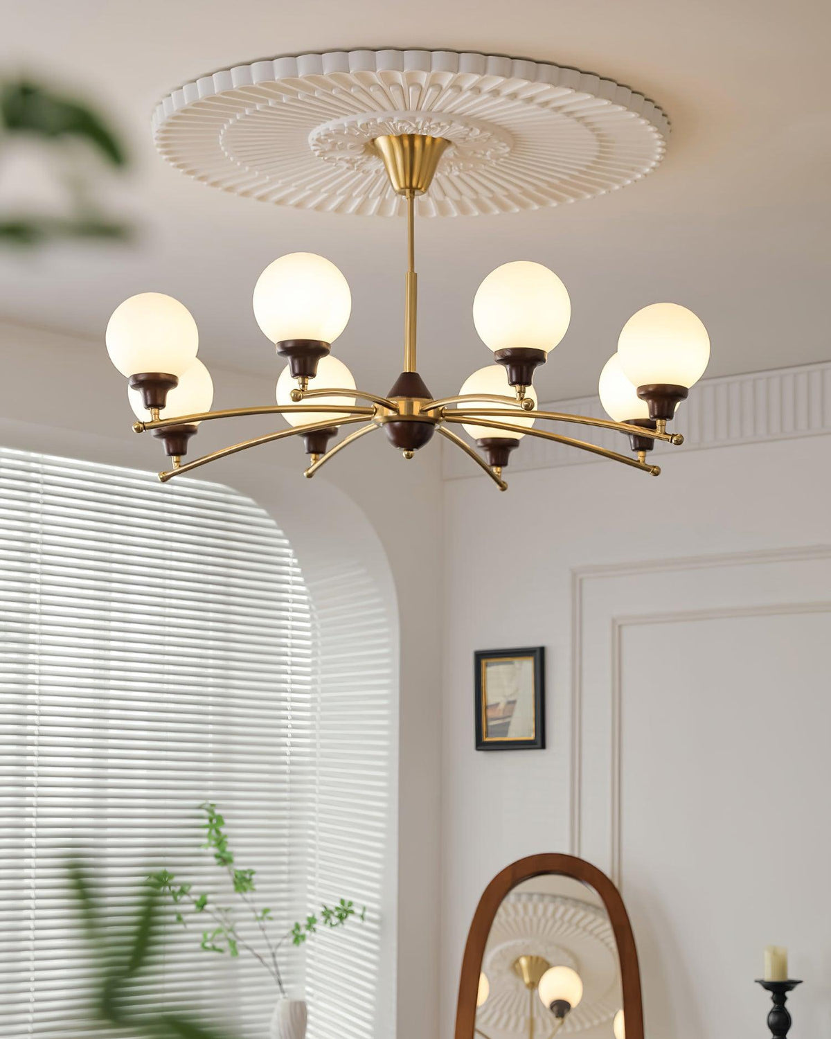 Calivora candelabru