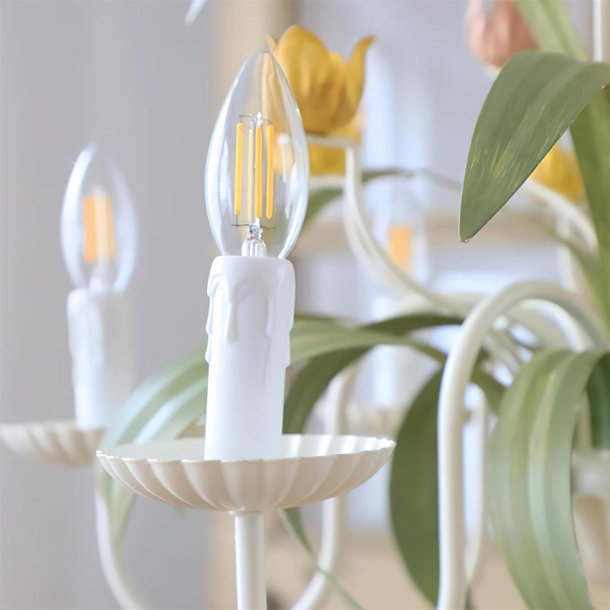 Aveniena candelabru